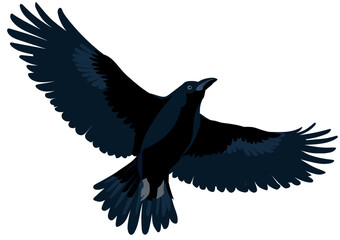 Crow Flying 