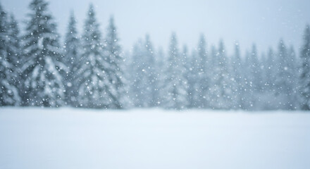 Fototapeta premium Snow-Covered Evergreen Forest