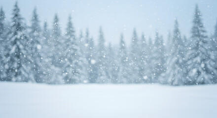 Fototapeta premium Snowy Forest with Evergreen Trees