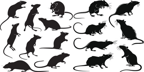 A set of Rat silhouette black colors in different sitting and standing styles, and playing. silhouette of a realistic rat.