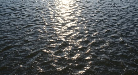 Obraz premium River surface texture with gentle waves shimmering across the water, ideal for backgrounds in websites, presentations, or nature-themed design projects.