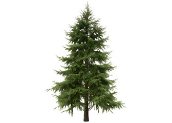 Fototapeta premium Lush evergreen conifer tree isolated on a white background png ai generated