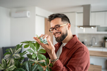 Man cleaning houseplant leaves with microfiber cloth at home