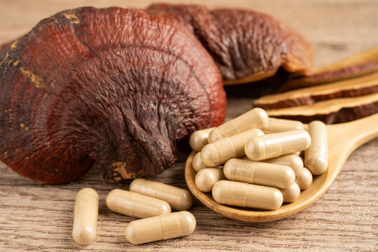 Lingzhi or Reishi mushroom with capsules, organic natural healthy food.