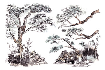 Watercolor and ink painting of a tree and branches with a light color wash .
