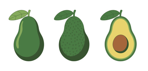 Three Avocados Illustration Whole and Halved
