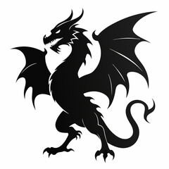 black and white dragon