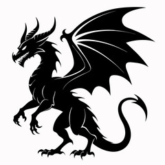 black and white dragon