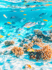 Vibrant Coral Reef Ecosystem Underwater Paradise of Colorful Fish and Marine Life