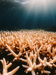 Stunning Underwater Photograph of a Vibrant Coral Reef Ecosystem