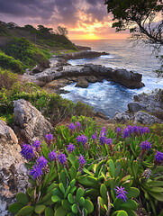 Coastal Sunset Landscape with Vibrant Purple Flowers