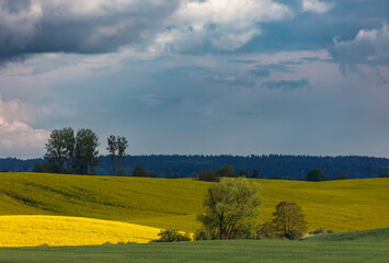 Warmia Kraina Rzepaku 