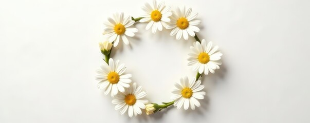 Obraz premium Cute daisy crown, pure white backdrop Rustic, whimsical floral circle , green, flowers, floral circle