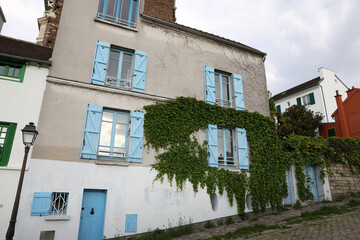 Elegant European Building with Blue Shutters and Ivy-Covered Facade