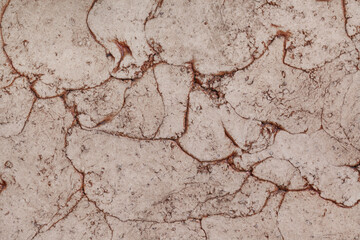 Unique cracked surface texture with intricate patterns showcasing natural variations and earthy tones in a close-up view