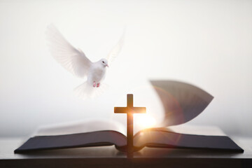 The cross of Jesus Christ's suffering and the Bible of the Word of Life, the white dove of the Holy Spirit and bright sunlight background
