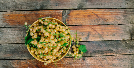 white currant fresh ripe close-up