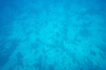 Turquoise sea bottom with scattered corals scattered across sandy seafloor. Ambient light filters through murky water, creating serene oceanic atmosphere. Minimal marine life