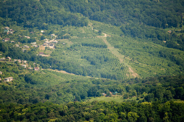 Obraz premium Aerial view of green farmland nestled in hilly terrain. Dense forest surrounds cultivated fields under bright daylight. Serene landscape combines natural beauty with human activity