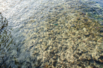 Stunning view of sunlit coral reef under clear, shallow waters at tropical resort. Natural patterns create mesmerizing visual effect in calm coastal environment