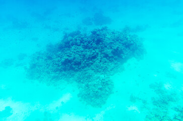 Expansive underwater scene showcases coral formations bathed in blue light. Depth offers serene view, depicting marine life habitat with shadows and textures