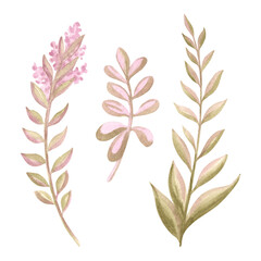 Fototapeta premium Watercolor set of flower twigs. Cute hand drawn violet branches with leaves. Illustration of wildflower botanical elements isolated. Spring purple floral background. Clipart of meadow and field plant.