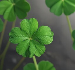 Vibrant green four-leaf clover close-up, lucky charm detail, nature, symbol, lucky charm