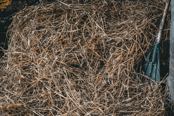Un tas de paille rassemblé - Ambiance rurale, ancienne et agricole / équestre