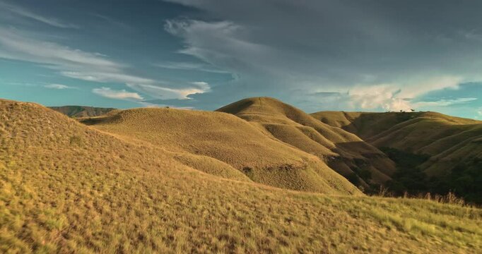 Low aerial drone footage flying over golden hills and meadows in Sumba Island, Indonesia, under a cloudy sky with some trees and bushes in the background