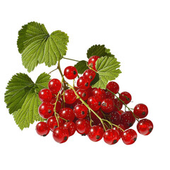 Fresh Red Currants with Bright Green Leaves on a White Background Showcasing Nature���s Bounty and the Beauty of Healthy Produce for Culinary Use Transparent backgroun