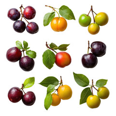 Fresh Assortment of Plums with Different Colors and Varieties Isolated on White Background for Culinary and Health Themes Transparent background, PNG