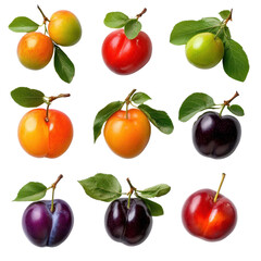 Colorful Variety of Fresh Apples and Plums Displayed on a White Background for Healthy Lifestyle and Fruit Market Promotion Transparent background, PNG