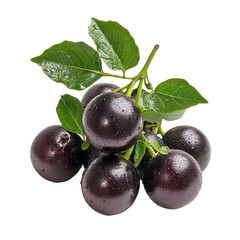 Fresh and Juicy Black Grapes with Water Drops on Green Leaves for Healthy Snack and Culinary Use in Various Delicious Dishes and Beverages Transparent background, PNG