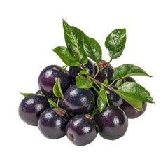 Fresh and Juicy Black Sapote Fruit with Green Leaves Piled Together on a White Background for Culinary and Health Related Use Transparent background, PNG