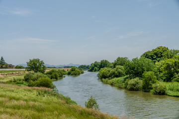 river in the forest
