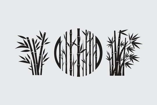 Set of bamboo silhouette on white background. Black bamboo stems, branches and leaves