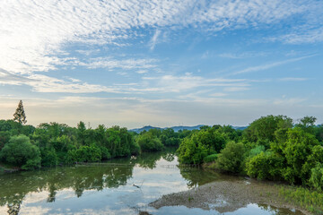 autumn landscape with river and trees

