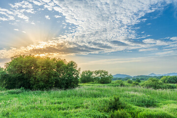 autumn landscape with river and trees
