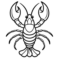 Royal Lobster line art vector