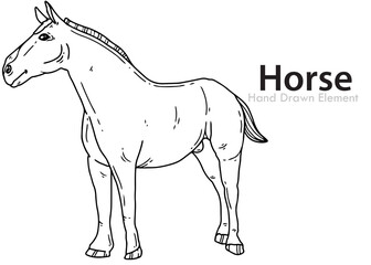 vector illustration of a horse