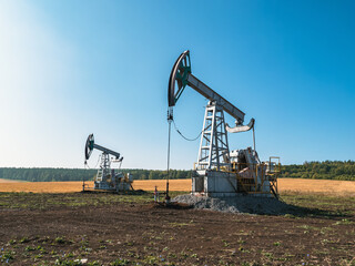 Oil pumps operate in a vast field under a clear blue sky at midday in rural area