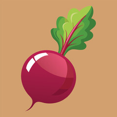 Beet food vector art illustration.