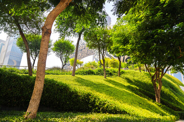 Fototapeta premium Lush Urban Greenery Heat of a Summer Day, Showcasing Nature's Vibrance Amidst Concrete.