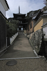 日本、奈良、當麻寺、蓮、夏、浄土庭園、綠葉、寺院、佛寺、佛教、佛像、木造建築、古代建築、庭園、木、文化財、日本文化、歷史名勝、綠色、風景、青空、初夏、写真素材