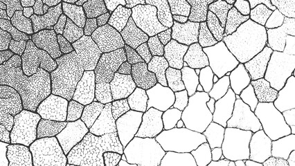 Vector texture ground surface. Grunge abstract back. Distressed cracked overlay. Distressed Grunge Texture. Seamless Pattern. Transparent background