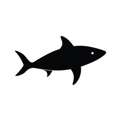 shark isolated on white