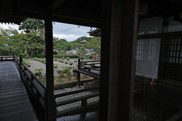 Fototapeta premium 日本、奈良、當麻寺、蓮、夏、浄土庭園、綠葉、寺院、佛寺、佛教、佛像、木造建築、古代建築、庭園、木、文化財、日本文化、歷史名勝、綠色、風景、青空、初夏、写真素材
