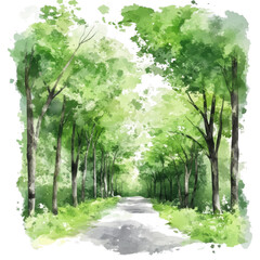 Fototapeta premium Pathway through the trees on transparent background