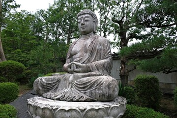 日本、奈良、當麻寺、蓮、夏、浄土庭園、綠葉、寺院、佛寺、佛教、佛像、木造建築、古代建築、庭園、木、文化財、日本文化、歷史名勝、綠色、風景、青空、初夏、写真素材