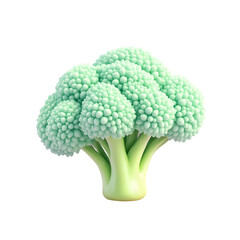 A single head of light green romanesco broccoli isolated on a black background in a studio shot isolated with white background